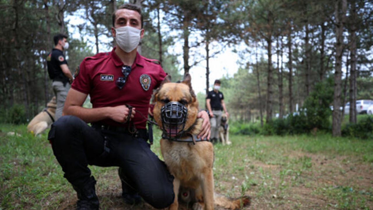 Son dakika haberi: Fotoğraflar bugün İstanbul'da çekildi! Başladı... 6