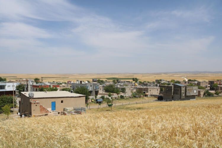 Salgının Türkiye'deki merkez üssü değişti... 5