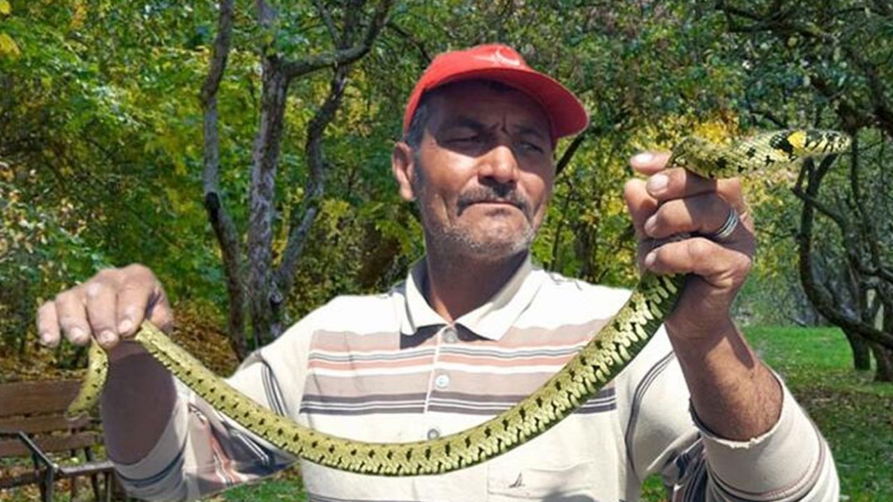Son dakika... Metresi 300 TL! Evlere giren yılanları eliyle yakalıyor... 1