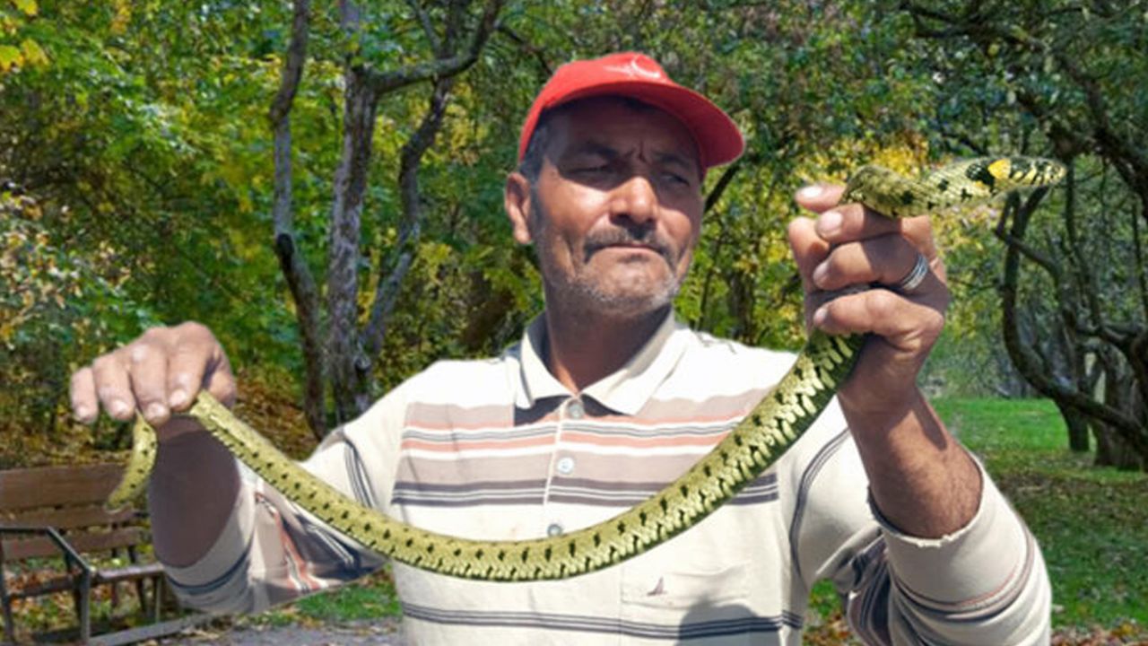 Son dakika... Metresi 300 TL! Evlere giren yılanları eliyle yakalıyor... 6
