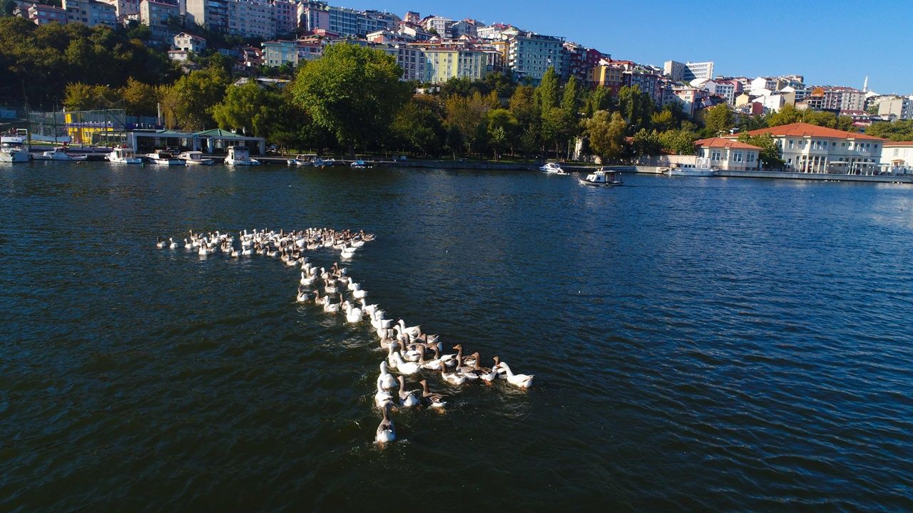 Haliç yeniden çamur deryasına döndü 3
