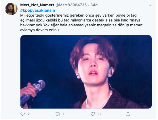 'KPOP yasaklansın' dedi Twitter'ı salladı! 7