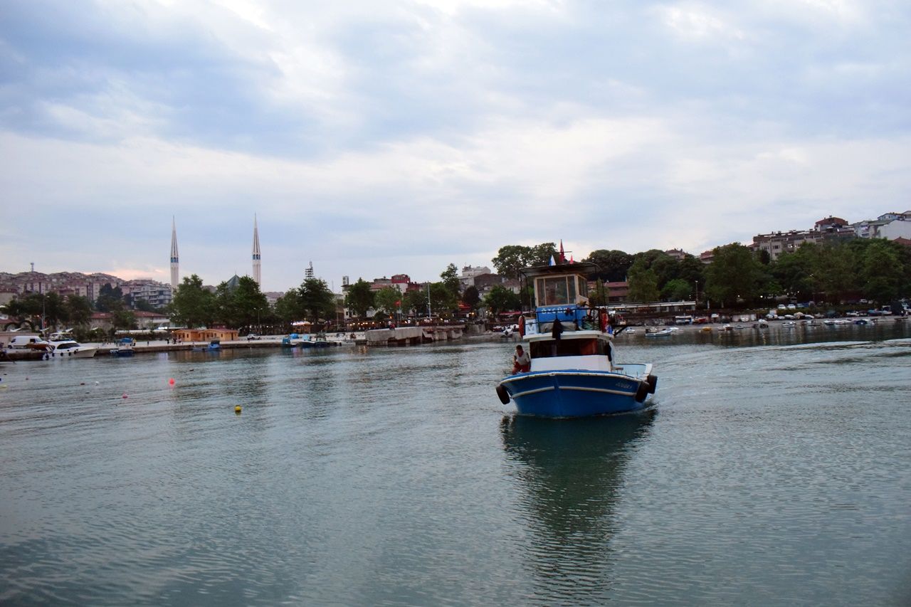 Uzak Doğu'nun gözü Akçakoca'nın deniz salyangozlarında! 5