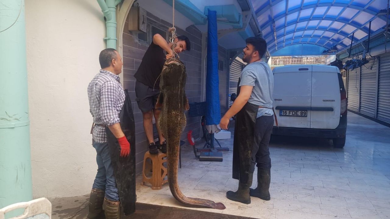 İznik'te yakalandı, gören telefona sarıldı! 6