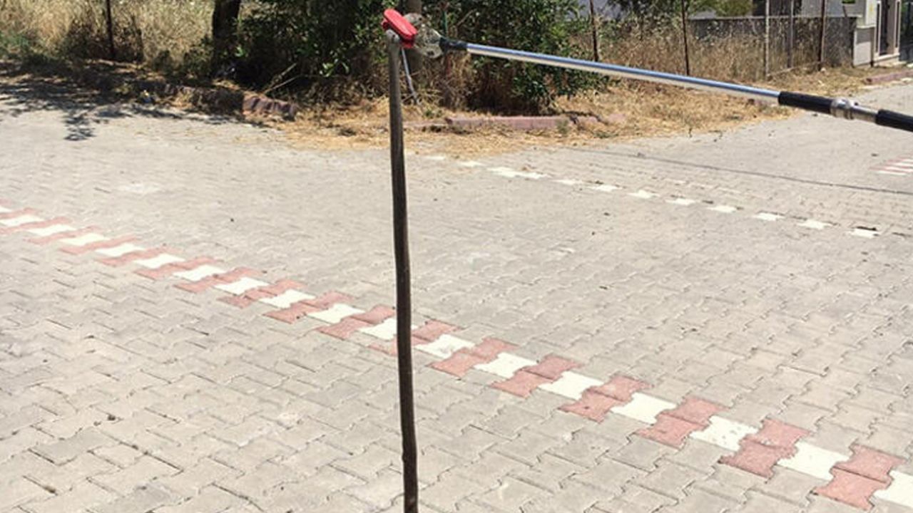 Ülke genelindeki yılan paniği! Ekipler zor anlar yaşadı 3