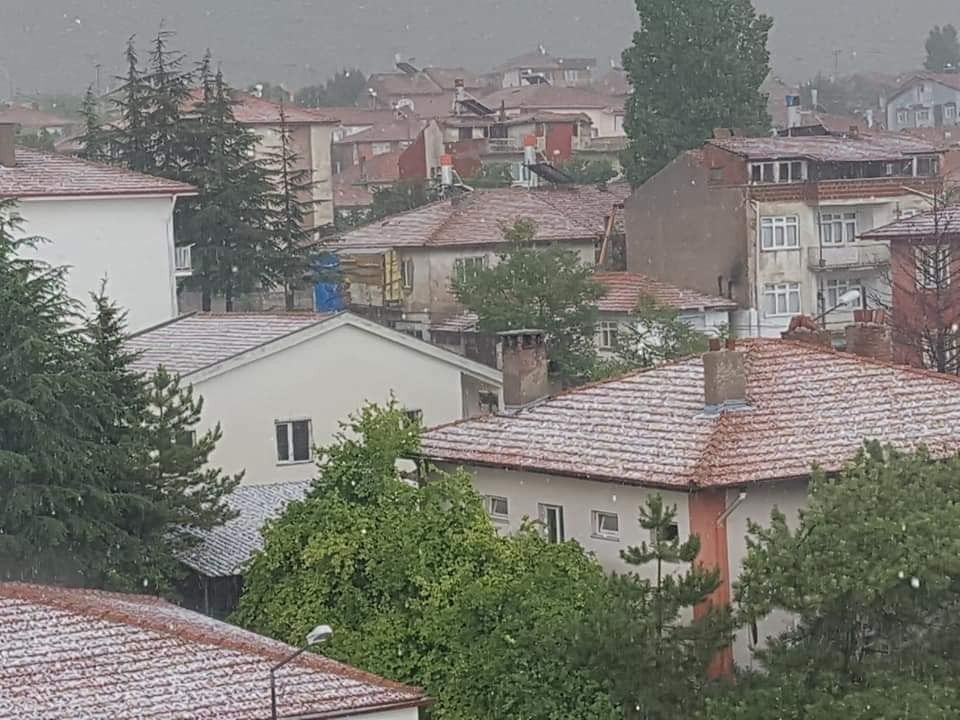 20 dakika yağdı! Tarım arazilerini mahvetti 1