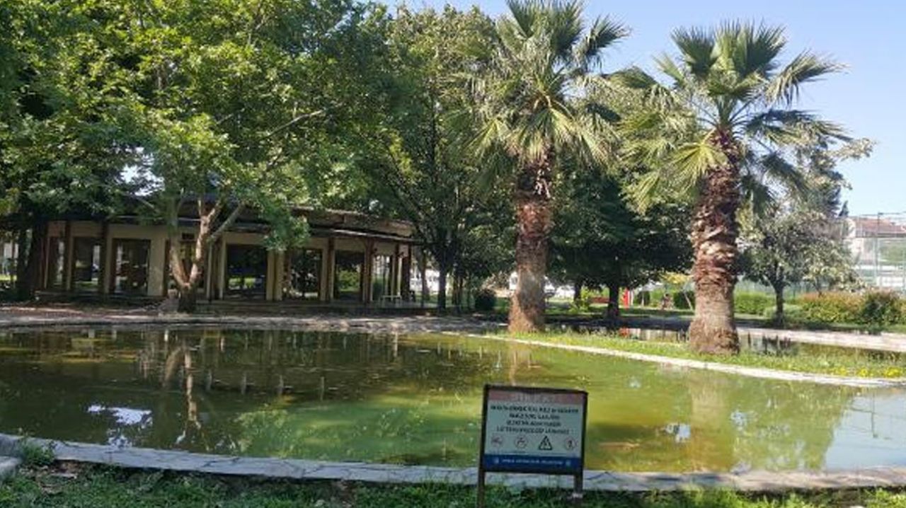 Oğlunun cansız bedeniyle sokakta oturdu 5