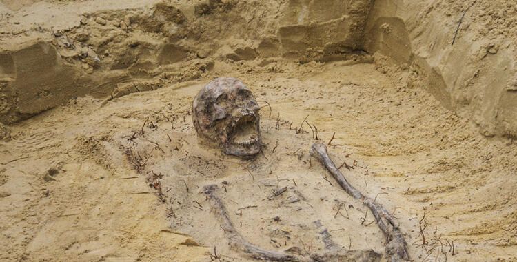 Yol yapımı sırasında tesadüfen 115 iskelet bulundu! 15