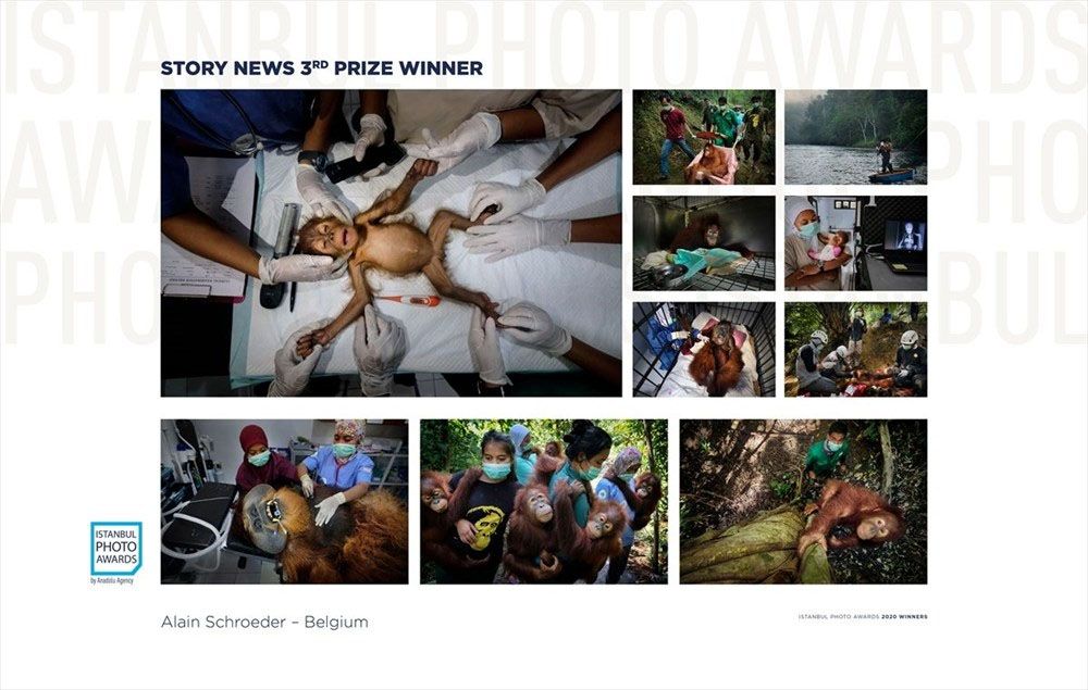 'Istanbul Photo Awards 2020' kazananları açıklandı 6