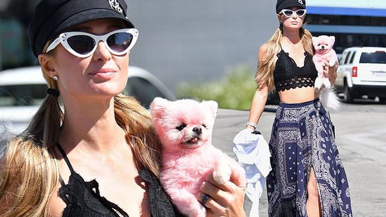 Paris Hilton da ABD Başkanlığı'na aday oldu 5