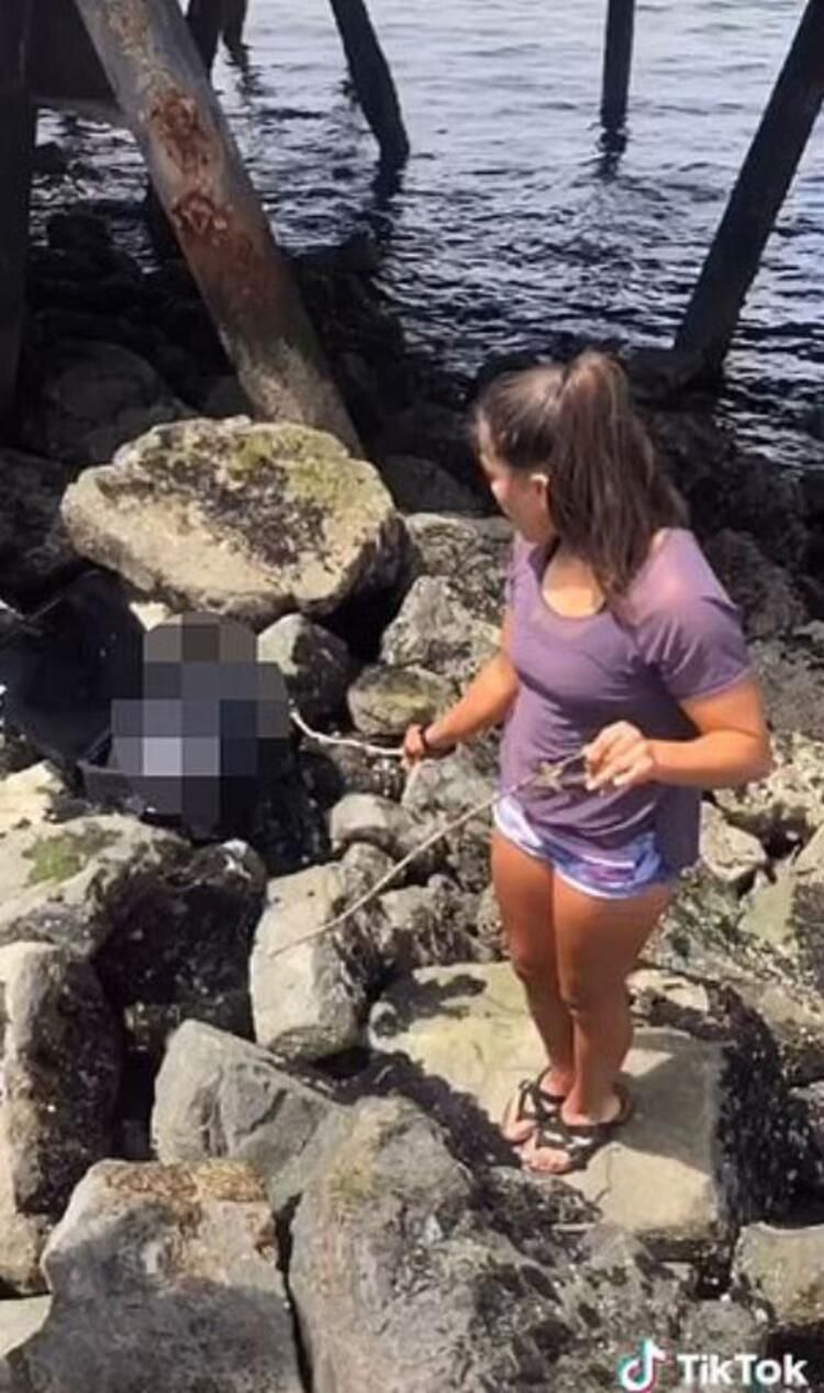 Bavul cinayetini çözene para ödülü 11