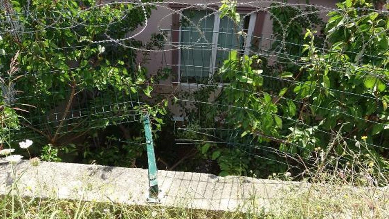 Uyurken evinin bahçesine otomobil uçtu! 6