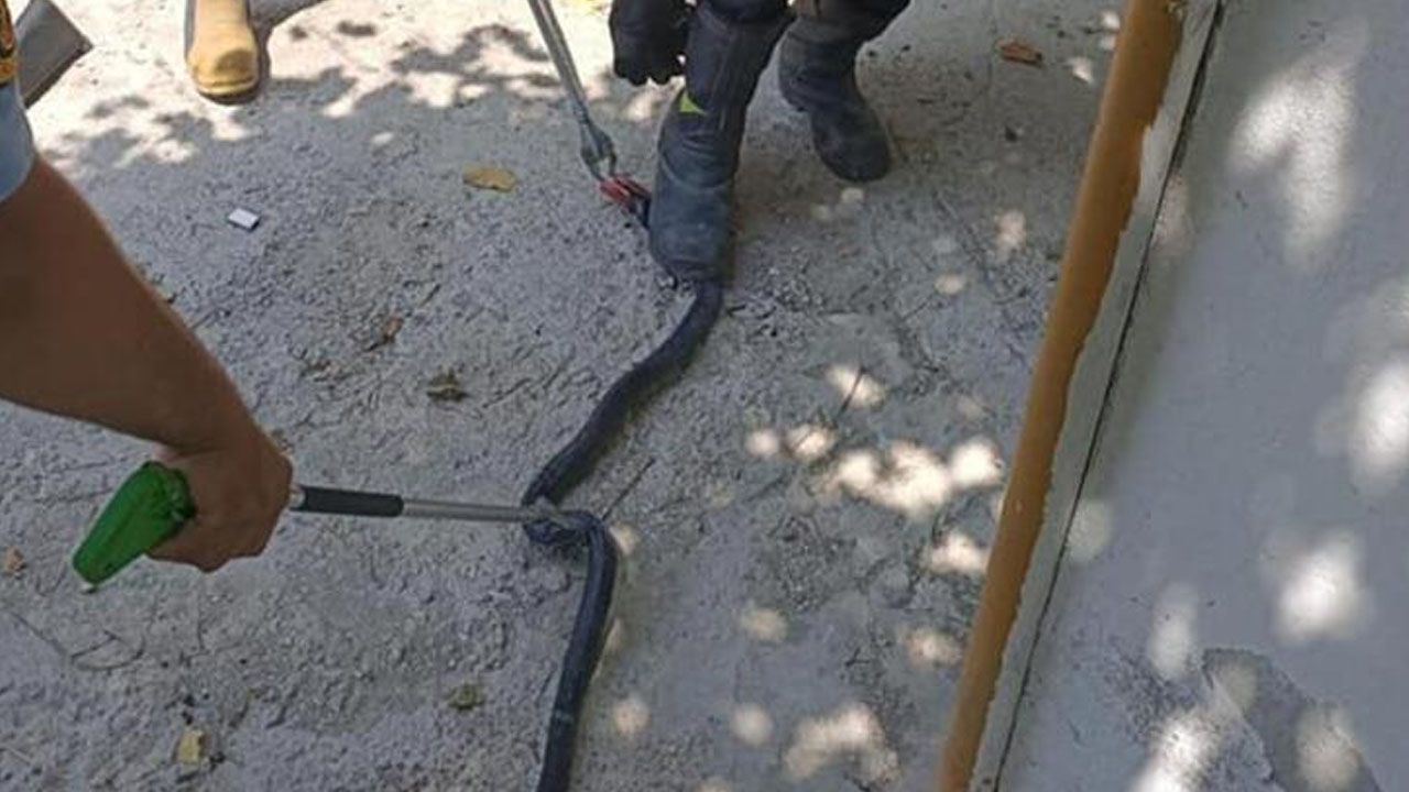 Denizli'de yılan ve akrep paniği! Onlarca kişi hastaneye koştu 6