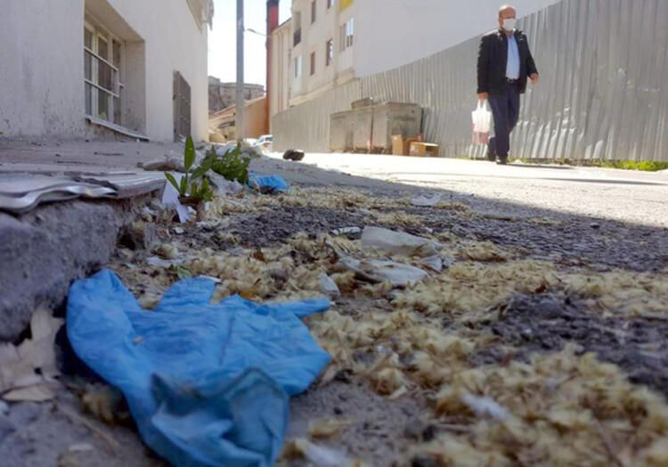 Koronavirüste iki büyük tehlike 13