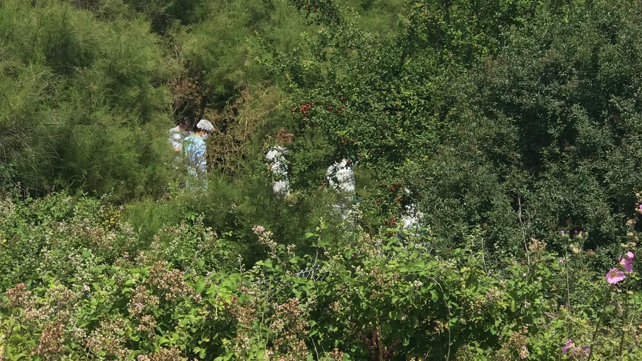8 parçaya bölünen cesedin ardından yasak aşk cinayeti çıktı 5