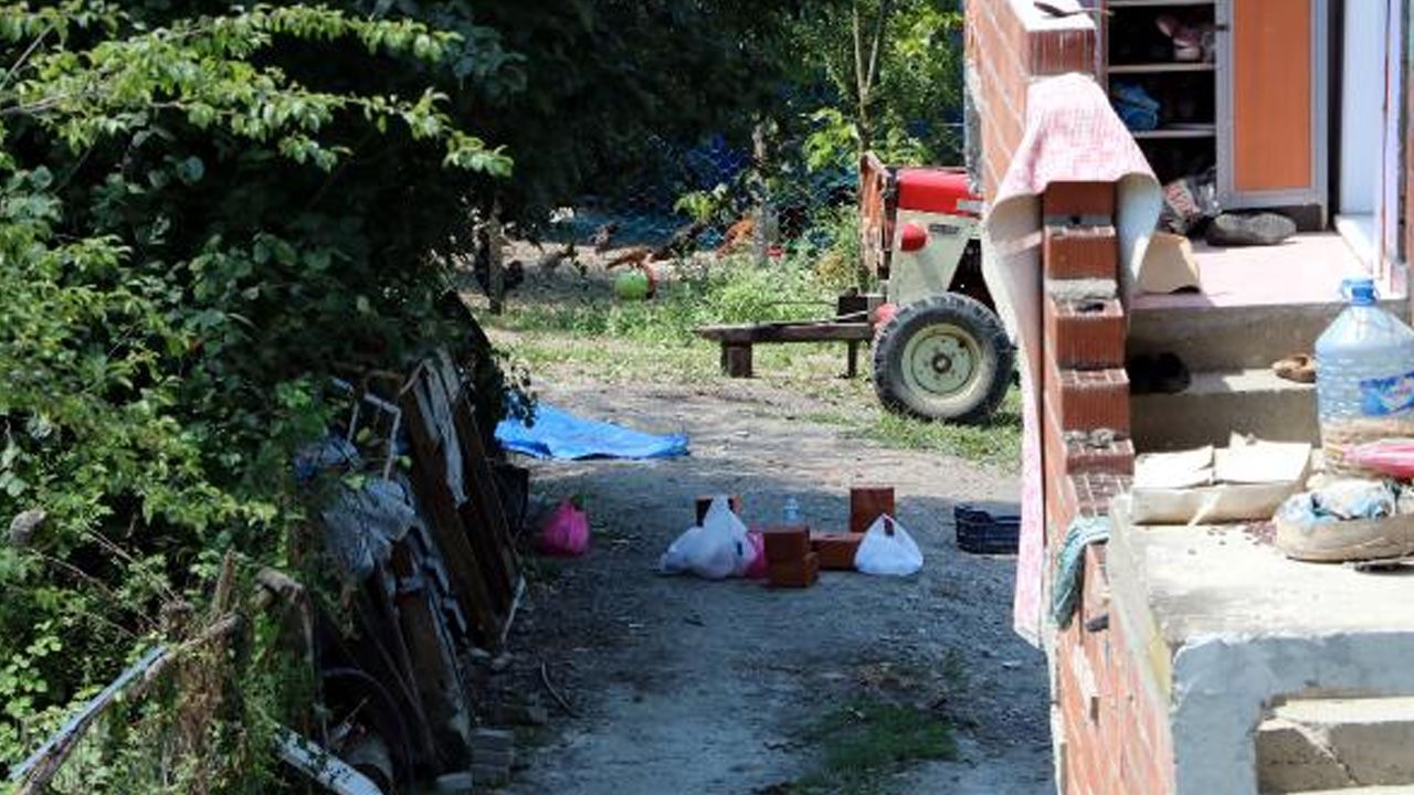 Evde tadilat yapan iki işçi öldürülüp ormana gömüldü 8