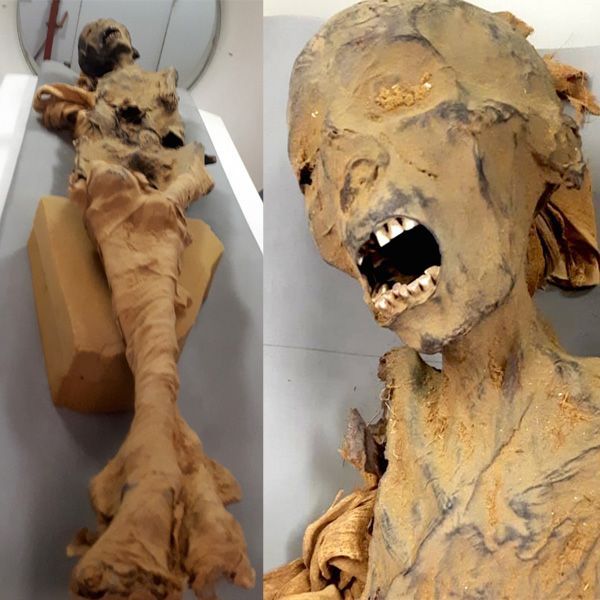 İşte 'çığlık atan mumya'nın ölüm sebebi 5