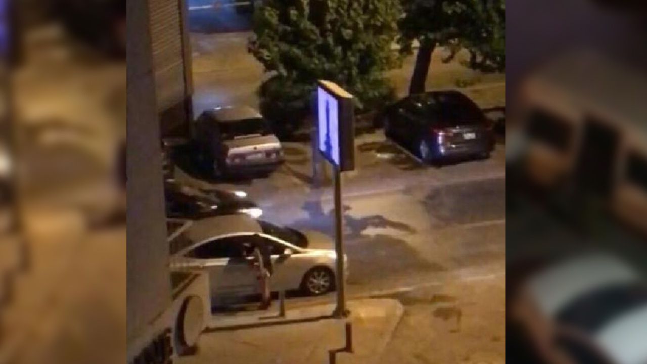 Mahalleye gelen bir ay sonra geri gidiyor! 7