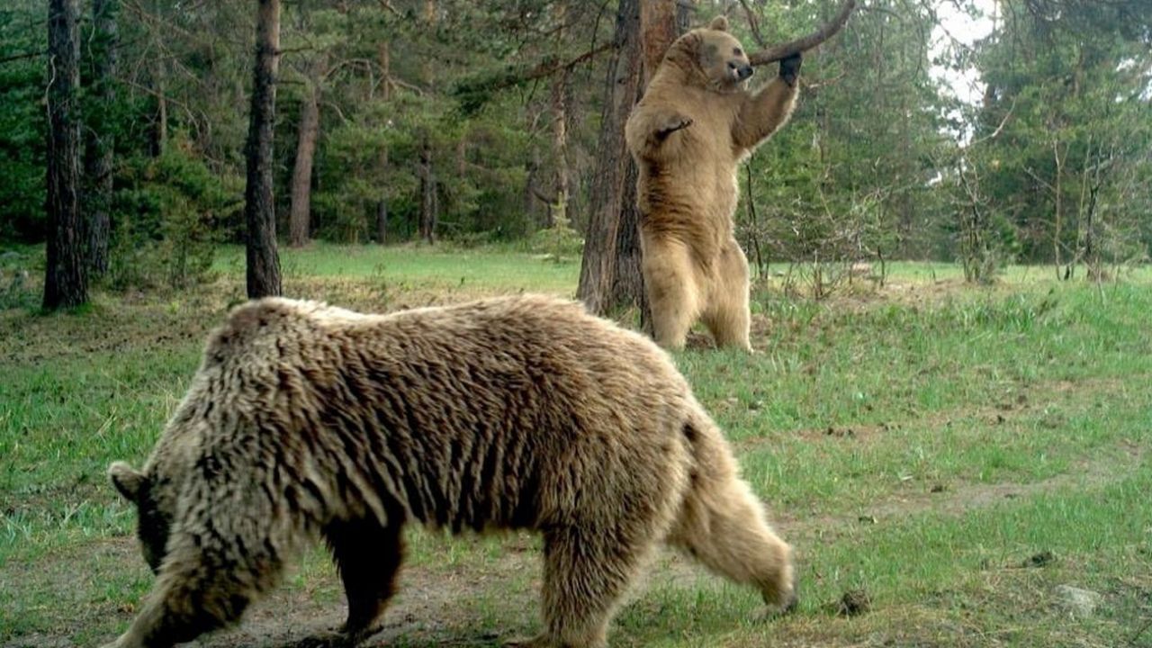 Yıllar sonra o ilde görüntülendi! 7