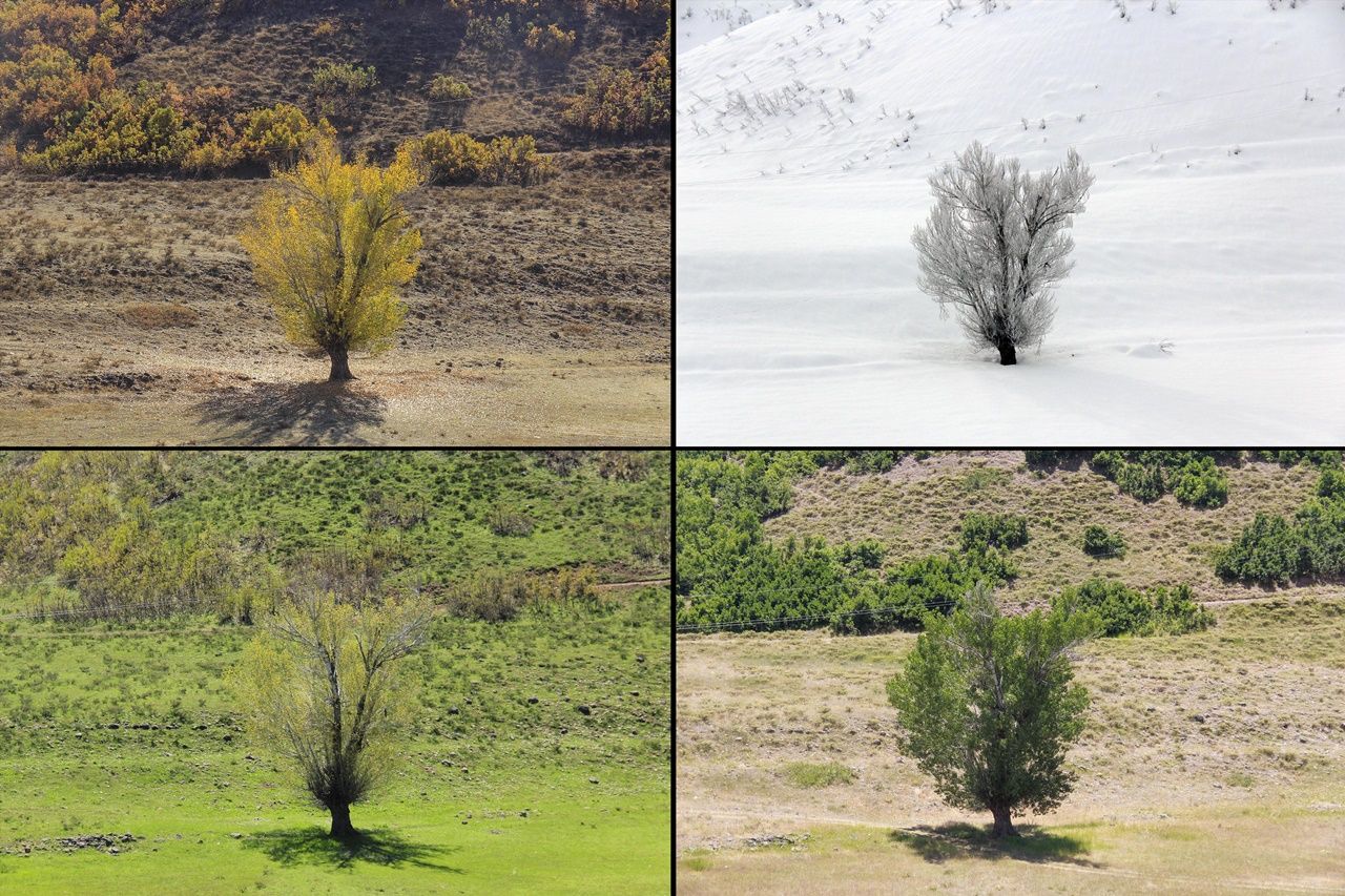Tunceli Ovacık'tan kartpostallık kareler 4