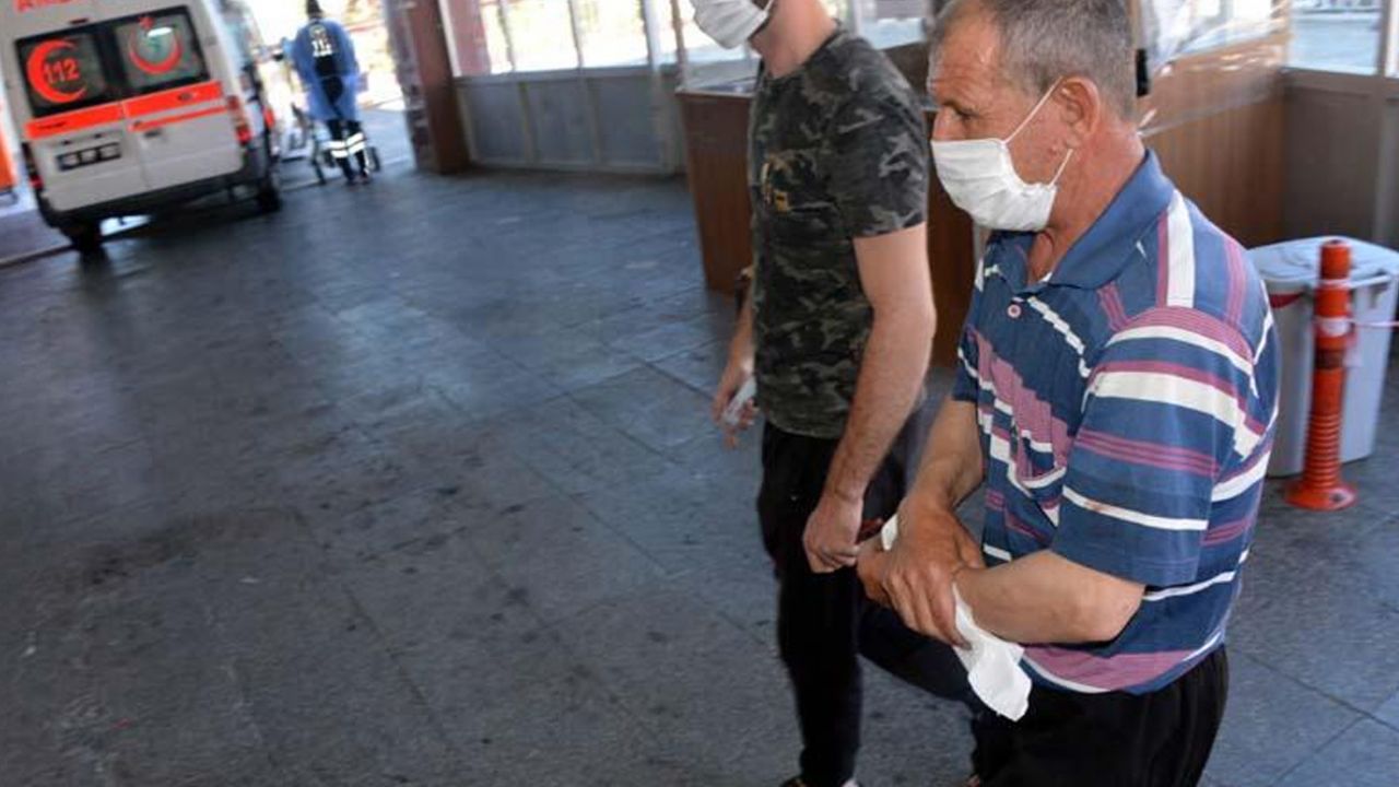 Acemi kasaplar hastanelere akın etti! 4