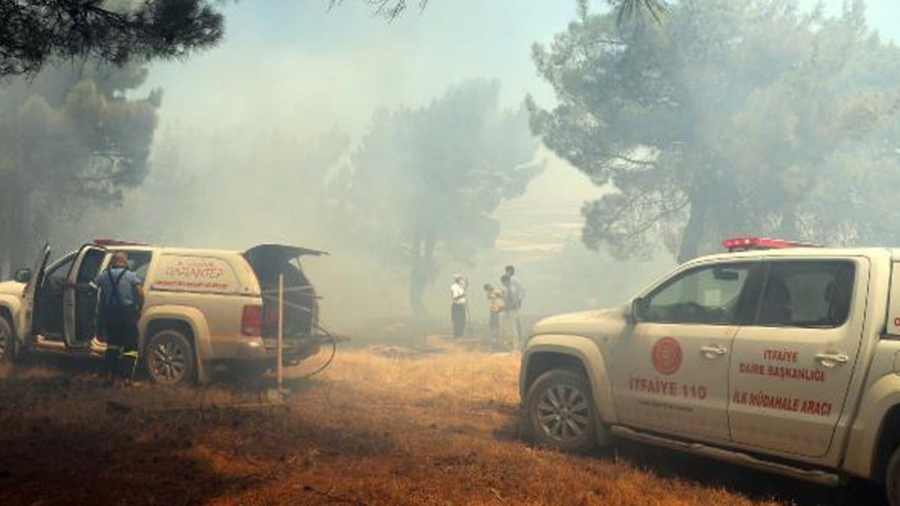 Kaymakam ve vatandaşlar müdahale etti! 11