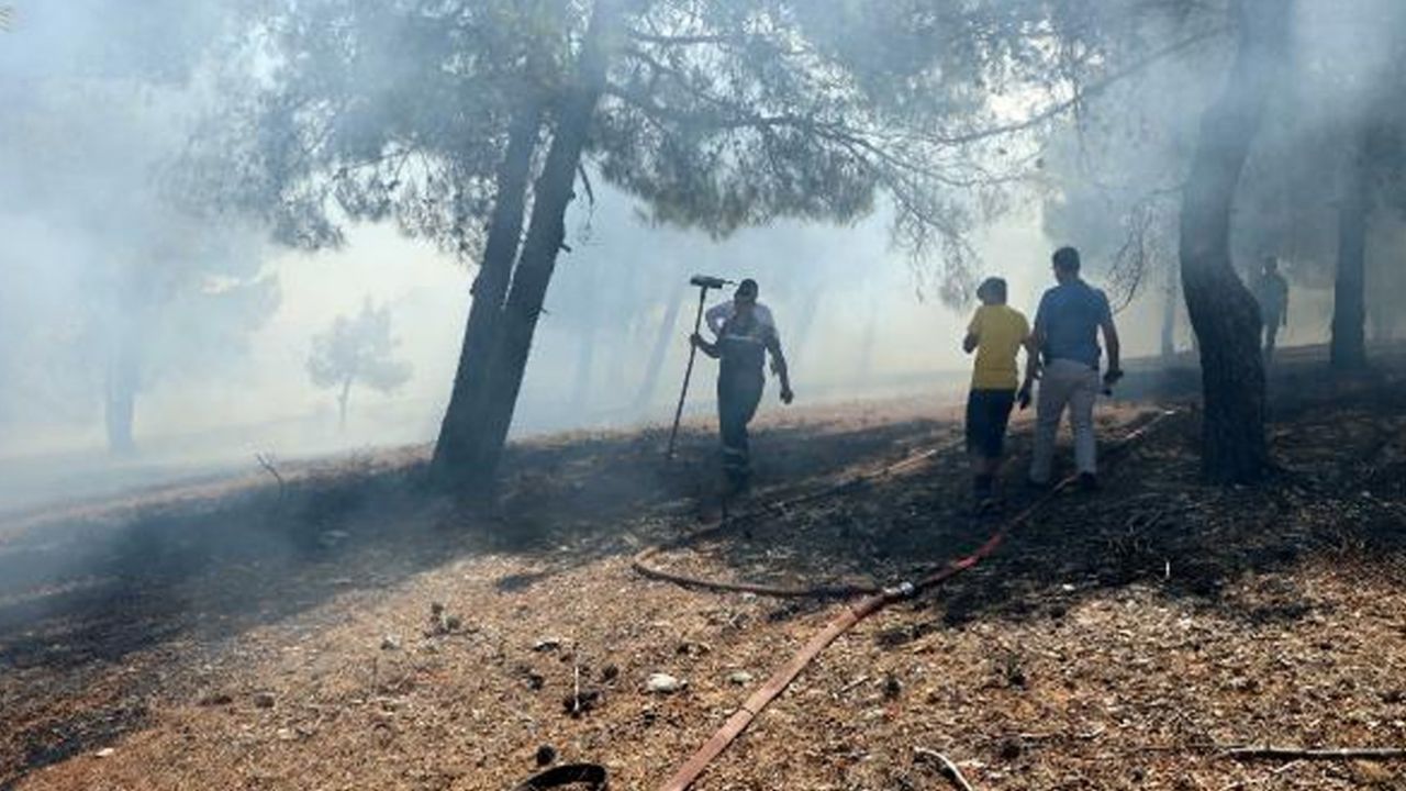 Kaymakam ve vatandaşlar müdahale etti! 9