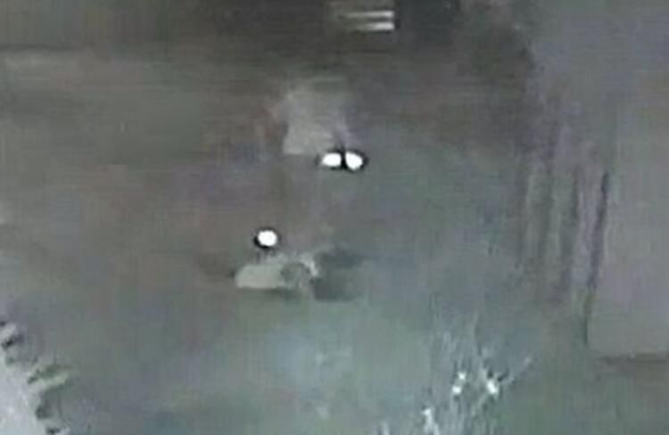 Polis sevgilisini teşhis etti 3
