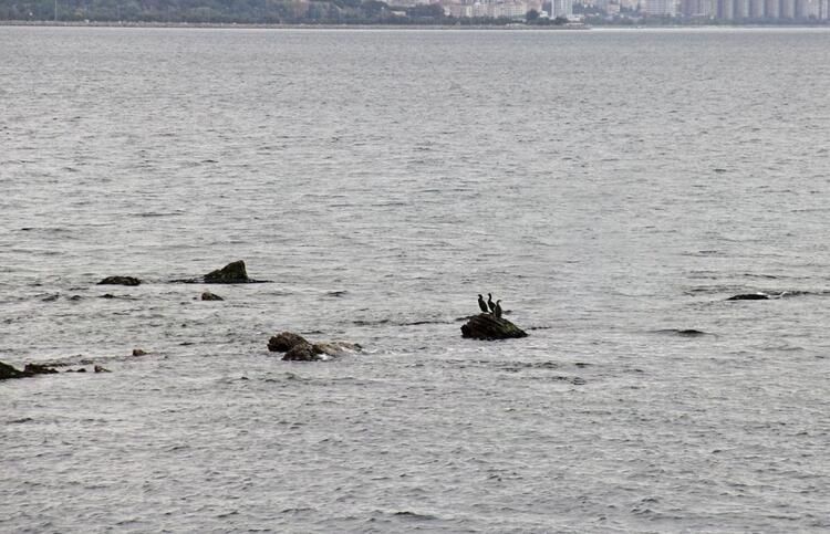 İstanbul'da haritalar incelendiğinde ortaya çıktı 8