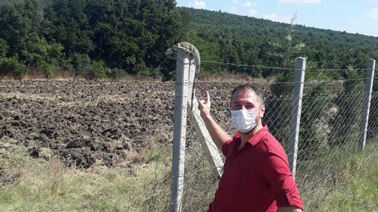 Çatalca'da iguana görüldü! Koruma altına alındı... 4