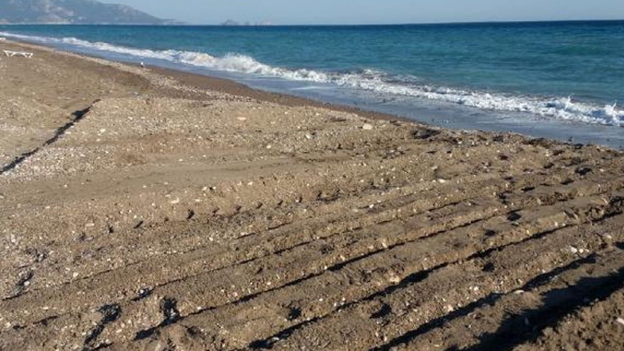 Kaplumbağa yuvalarının iş makinesiyle dağıtılmasına 442 bin lira ceza 6
