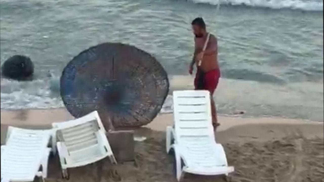Ağaçları yakıp, çöpleri denize dökmüştü 4