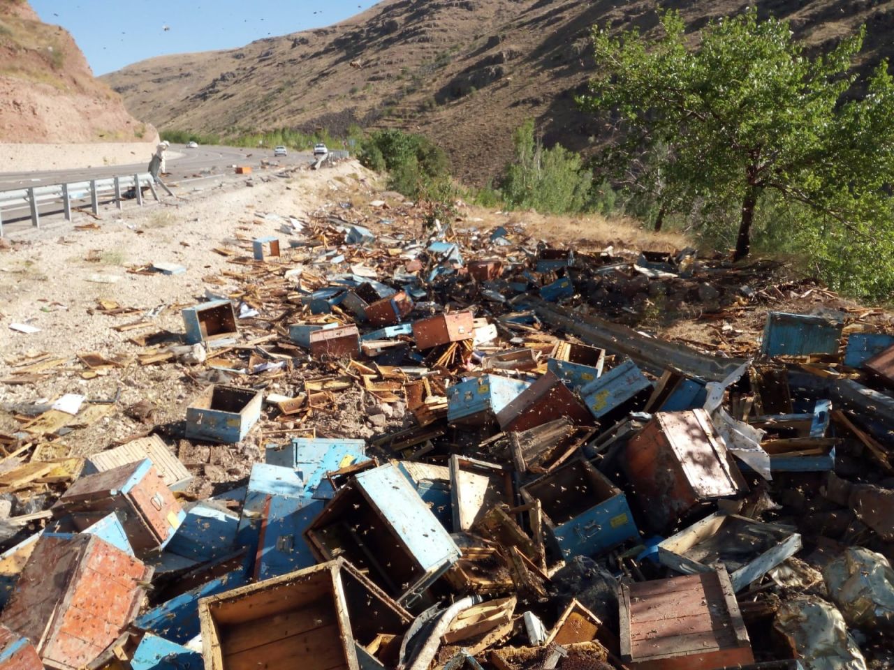 Arı kovanı yüklü kamyon devrildi: 3 ölü 15