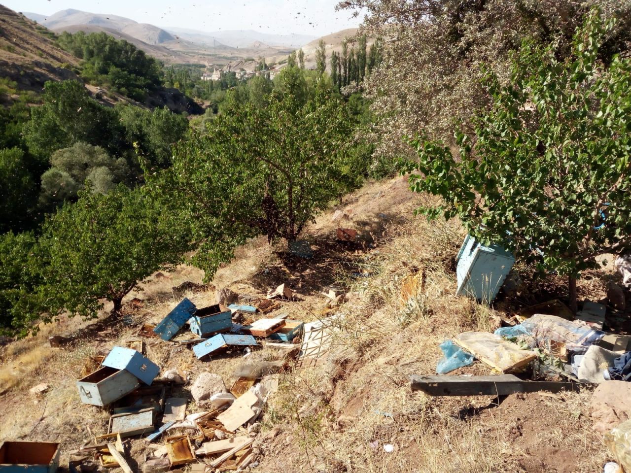 Arı kovanı yüklü kamyon devrildi: 3 ölü 13
