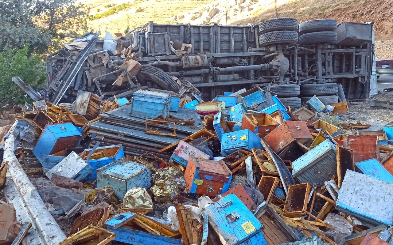 Arı kovanı yüklü kamyon devrildi: 3 ölü 1