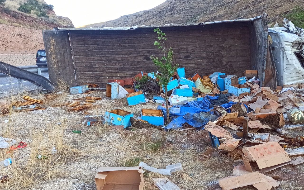 Arı kovanı yüklü kamyon devrildi: 3 ölü 4