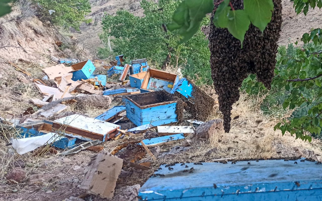 Arı kovanı yüklü kamyon devrildi: 3 ölü 2
