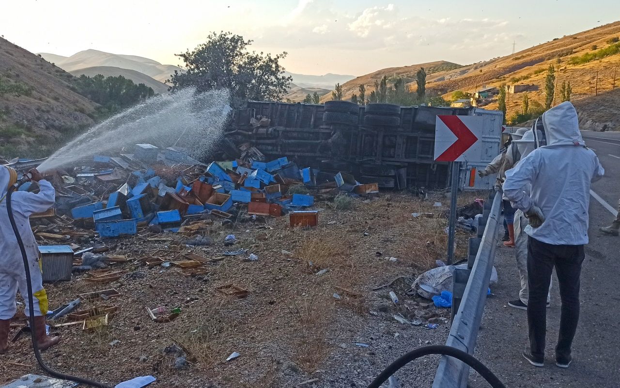Arı kovanı yüklü kamyon devrildi: 3 ölü 5