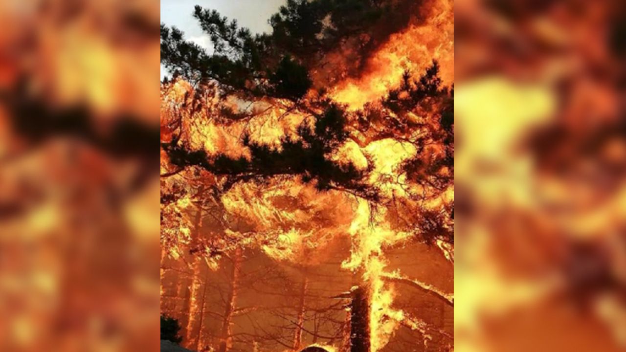 3 ilde orman yangınlarını söndürme çalışmaları sürüyor 1