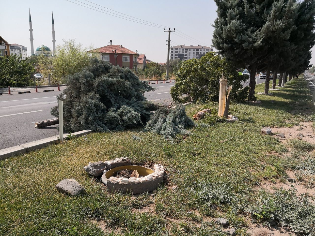 Kaplumbağayı kurtarmak isterken takla attılar 8