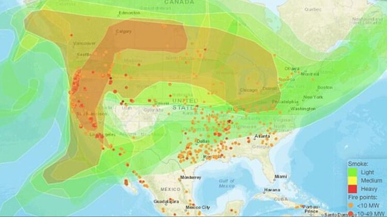 New Mexico’da yüz binlerce göçmen kuş ölü bulundu! 7