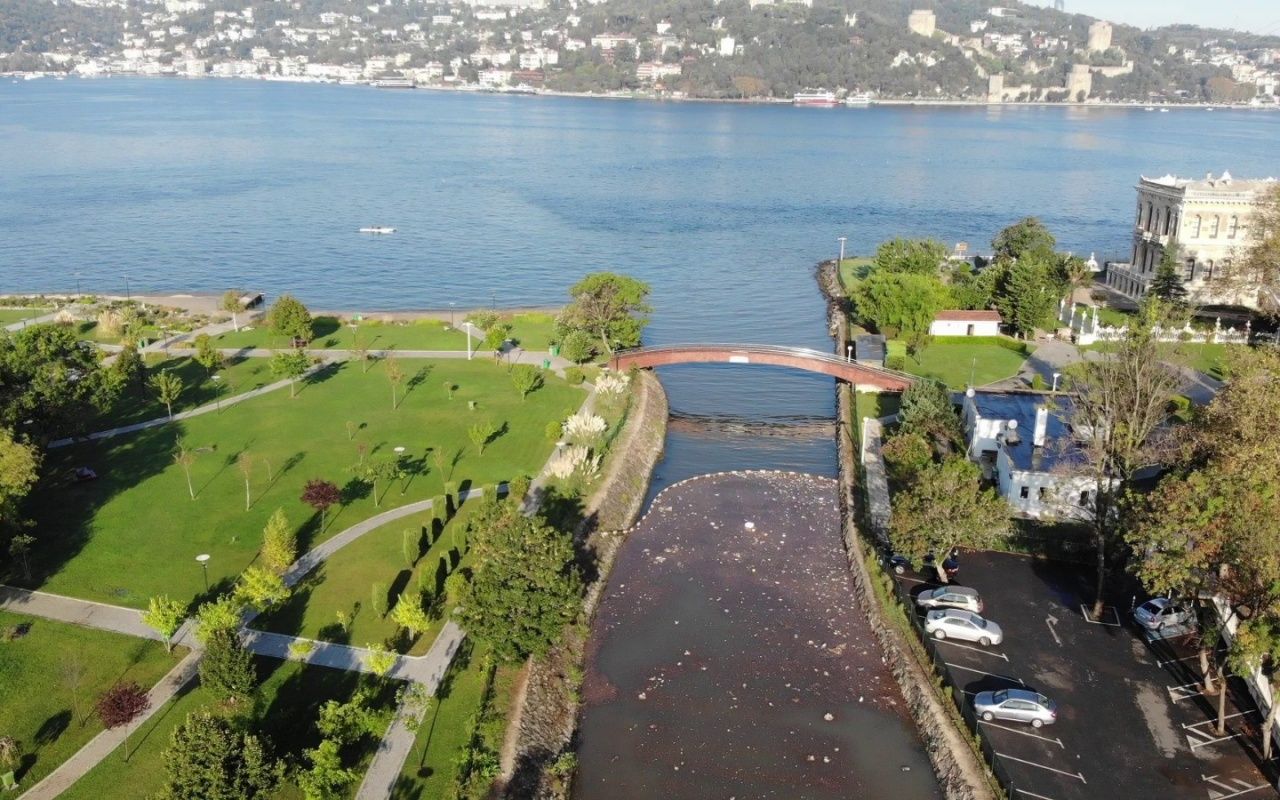 İstanbul'da yağmur sonrası çöp adası 5