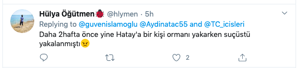 Hatay yangınında şüpheler PKK'nın üzerinde 9