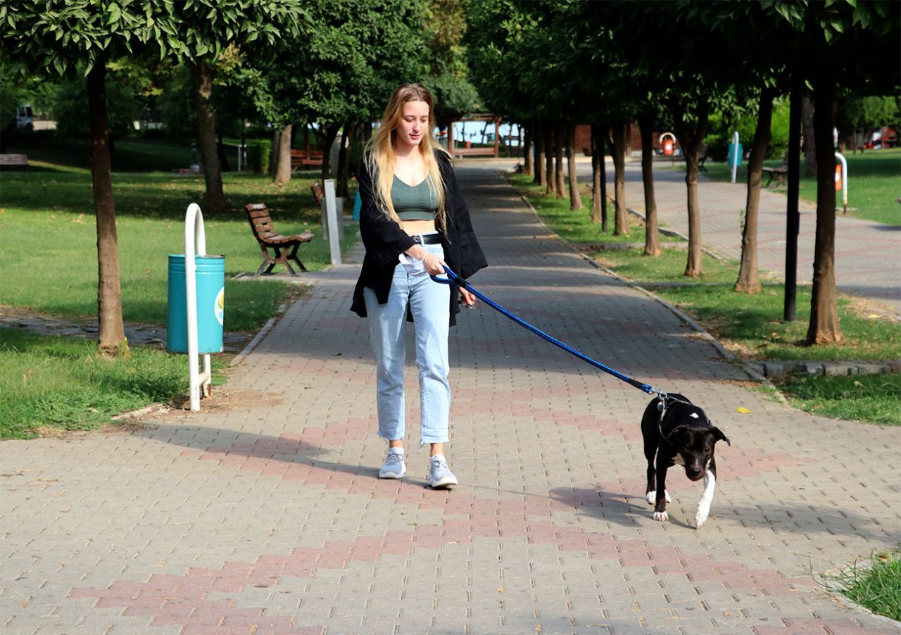 Darp edilen genç kızı kurtarmak isterken bıçaklandı! 1