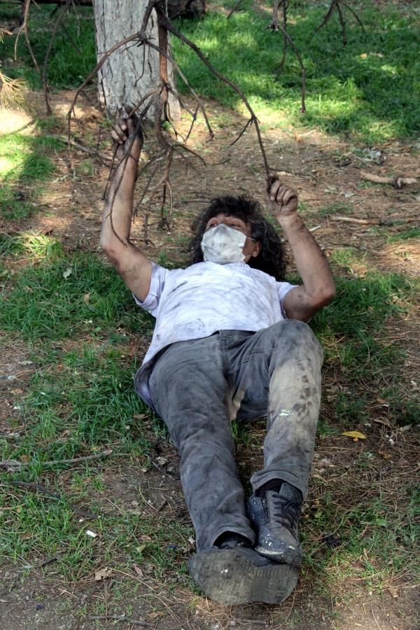 Profesörden yanmış ağaçla dikkat çeken eylem 4