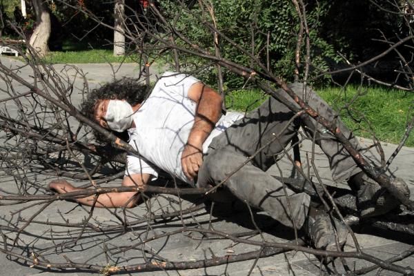 Profesörden yanmış ağaçla dikkat çeken eylem 2