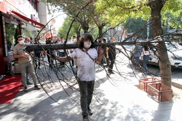 Profesörden yanmış ağaçla dikkat çeken eylem 1