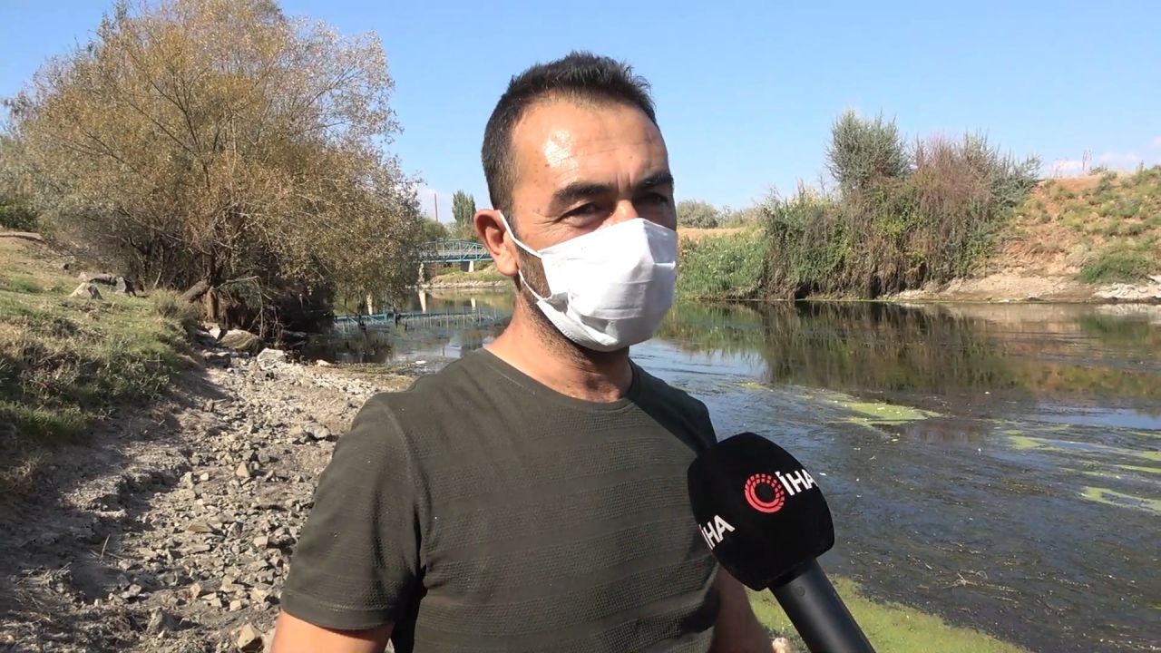 Kızılırmak kuruyor! Balık ölümleri başladı 5