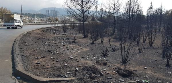 Hatay'daki yangın faciasında tepki çeken duvar yazısı! 1