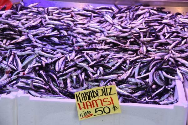 Hamsinin kilosu 50 liraya çıktı, fiyatı gören tezgahtan döndü 5